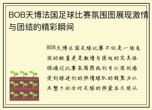 BOB天博法国足球比赛氛围图展现激情与团结的精彩瞬间